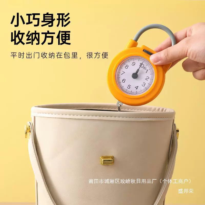 Factory direct sales small high-precision portable household portable electronic scale small hook scale spring scale