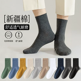 运动休闲棉袜;船袜、隐形袜;丝袜