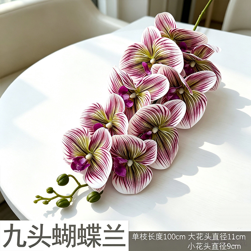 3D Phalaenopsis/Hoa Lan mới
