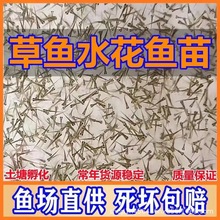 ���~ˮ���a�~ˮ������ˮ����ɏˮ���N�~ˮ�����qˮ