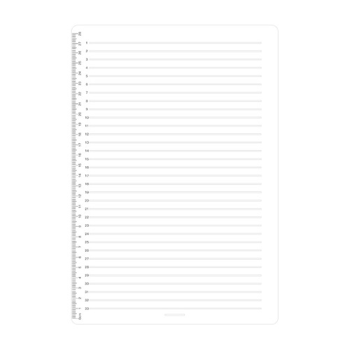 Postgraduate entrance examination ruler, scratch-free tool, 0.9cm1cm, student-specific political examination drawing grid horizontal line, postgraduate entrance examination ruler