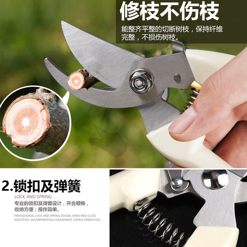 Pruning garden scissors, gardening scissors, fruit tree picking, flower art, bonsai fruit branch scissors, garden tool scissors wholesale