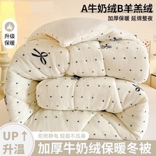 秋冬牛奶绒羊羔绒被子冬被儿童加绒被芯棉被冬季加厚保暖毛绒被褥