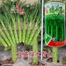 ��Ƥ�������n�S �Gˮ��ɽ�t���~�������n�S �ȿɳ��~ Ҳ�ɳԹS