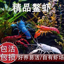 ԭ���^�p�r�{ħ����ɽ��ˮ�����r���r�໨�ɵ�ˮ�ͻ����r�r����r