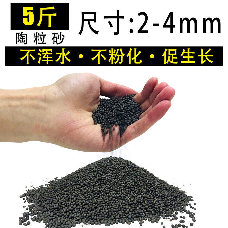 嘘援娉ユ壒鍙戙€愪笉舞枃丸瀀耣ャ€戦櫠绮掔戞枸shoulder a few搴琴爞更曟曟曘昘棌绠 argue