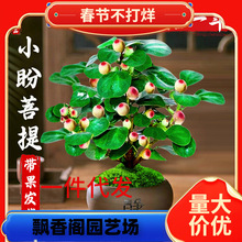 һ�����lС���������Ԏ����Ϙ�������辰��ʽ�U���k���҃������