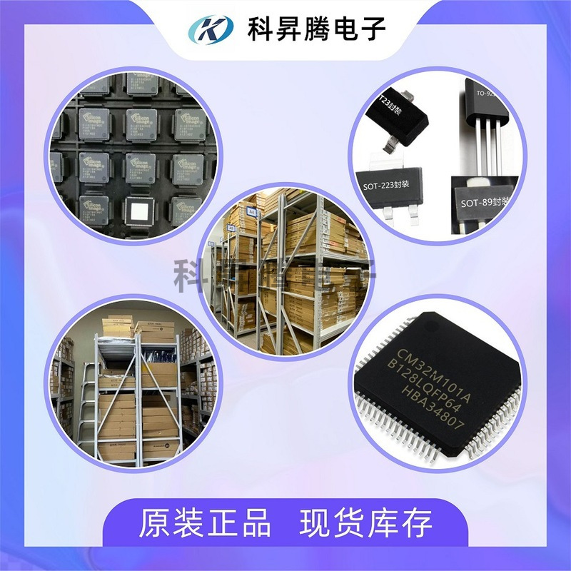 B30642-D5331-X924-G05 MCM-24 全新原装 声表滤波器集成芯片IC