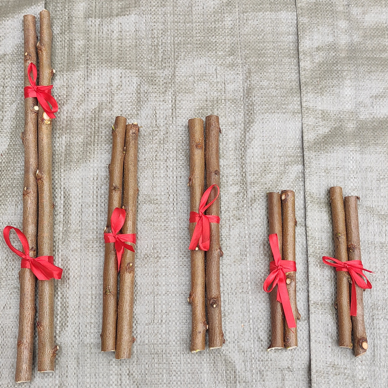 Southeast Peach Branch Portable Baby Calming Pendant for Pregnant Women and Infants Crying, Protective Peach Wood Branch