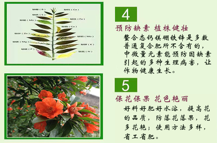 5詳情產(chǎn)品特點(diǎn)及功效3