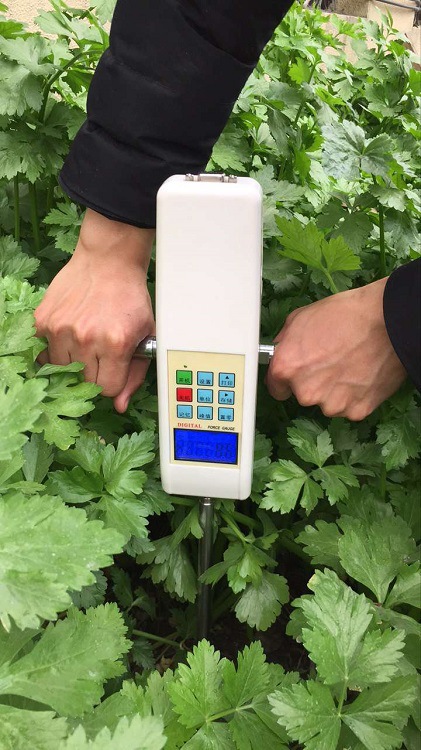 ZZ供土壤硬度计  型号:M7840-TYD-2库号：M7840