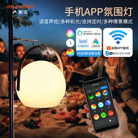 装饰台灯;小夜灯;太阳能灯