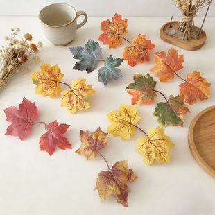 �羳���R�d�}�Q��2����ɫ�t���~Ƭ�������~�zӰ�����b��滨