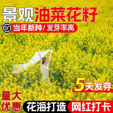 ͲѷNs߮aͲ˷NӾ^^pͲ˻եʳͲ˻N