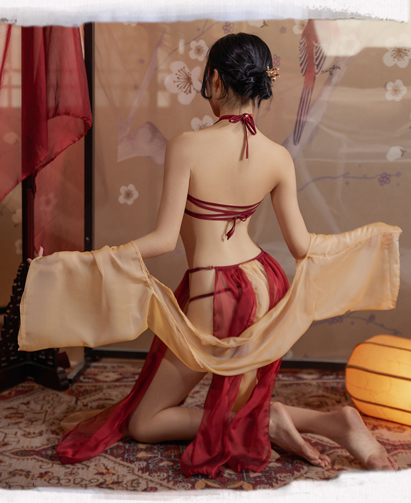Hanfu-Inspired Palace Costume Set with Bellyband, Shawl, Gauze Skirt and Thong, Plus Size — detail image 9