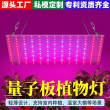 谦润照明LED量子板植物灯温室大棚种植灯蔬菜绿植补光灯仿太阳光