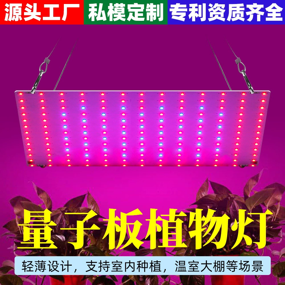 Светодиодная лампа Qianrun Lighting LED Quantum Board для растений, тепличная лампа для посадки овощей, зеленая лампа для растений, имитация солнечного света