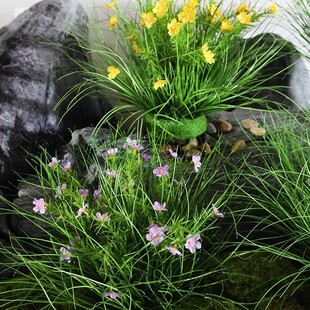 �ѲݼҾ��bGֲ�廨���ϔ[���݈F�ݶ��҃ȵ��晻��E18