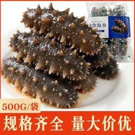 工厂直营批发即食海参鲜食大连刺参辽参非淡干海参一件代发