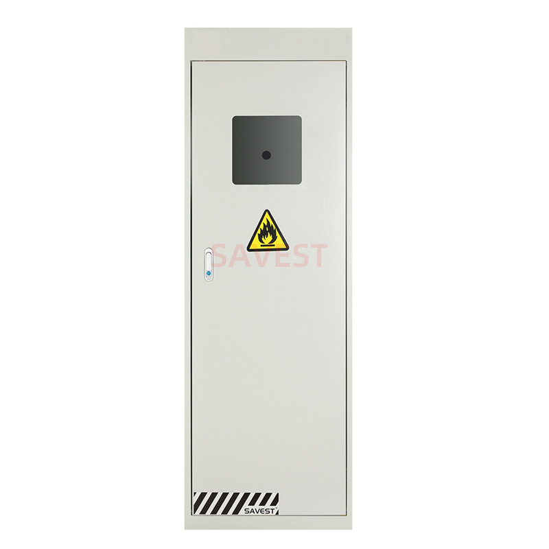 SAVEST气瓶储存柜 厂家现货供应 全钢实验室单瓶气瓶柜