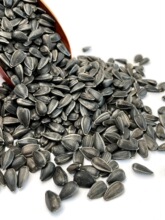 ��������С��������Ϳ����W�^�Bʳ��ς}����ʳ�B�Z���Z5����]