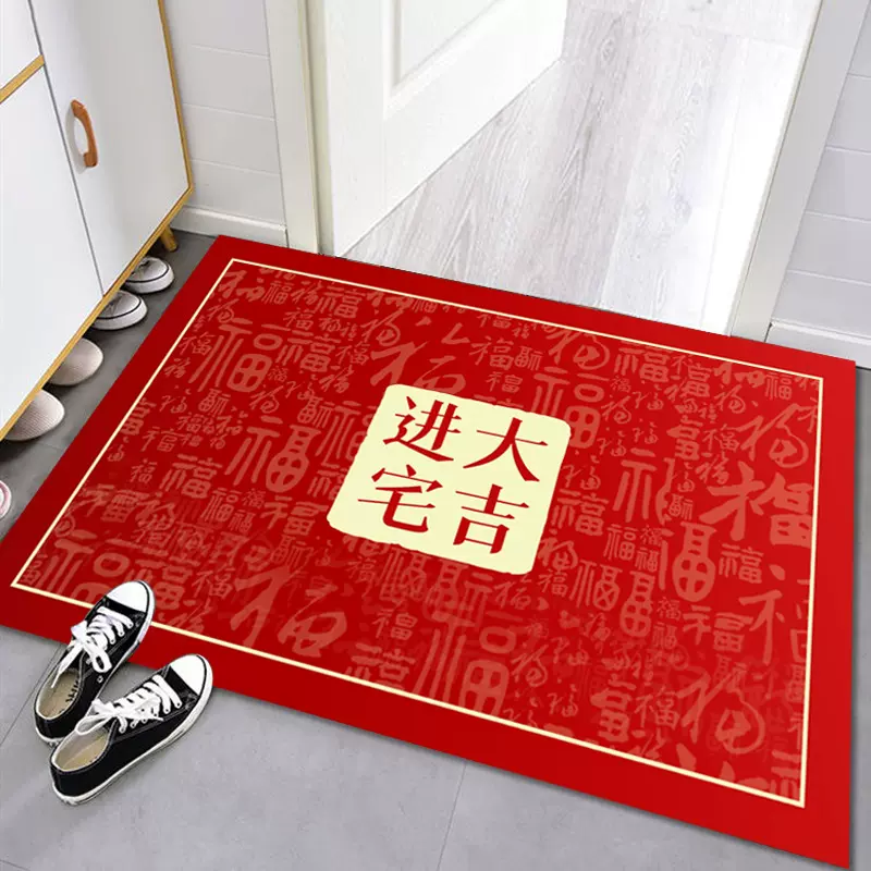 2025年新款地垫入户门垫家用入户地垫客厅玄关防尘吸水门垫