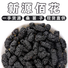 新疆桑葚干特级药食同源桑椹干果散装500g免洗无沙黑桑葚子茶即食