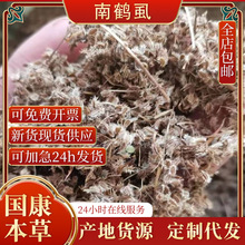 ��؛���Qʭ��ș�� �Qʭ�� �Qʭ ���Qʭ�� �`����ʭ���䱳���l���l