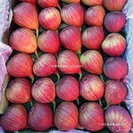 顺丰成都新鲜无花果 软糯清甜孕妇老人小孩新鲜应季水果坏果包赔