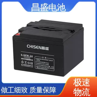 昌盛 6-GFMJ-24 ups电池 蓄电池 开关设备 质优价廉