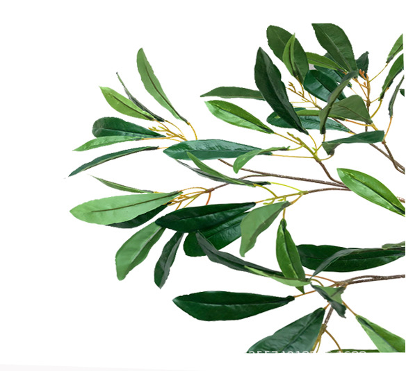 XRB-263 杨梅叶3叉枝 (1).jpg