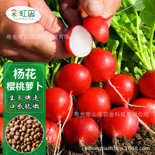 �����}���N�Ӵ�ȫˮ���}�����Ѵ����ļ��N���̨���������߲˷N��