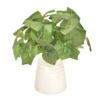 New hot -selling simulation 5 -headed glue leaf artificial plant hotel background wall accessories home living room study room study decoration