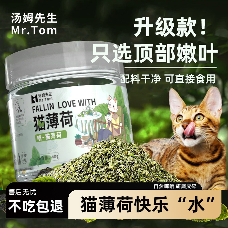 Dried Catnip Leaves for Filling Cat Treats, Catnip, Cat Grass, Mint, Ready-To-Eat, Pre-Planted, Wholesale, Pet Supplies Dried Catnip Leaves for Filling Cat Treats, Catnip, Cat Grass, Mint, Ready-To-Eat, Pre-Planted, Wholesale, Pet Supplies