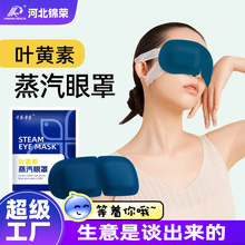 蒸汽眼罩定制外贸批发蒸汽热敷叶黄素加热护睡眠眼罩遮光酒店代工