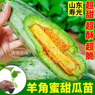 �۹����������������ִ�߮a����玧�����ļ��̨СԺ���ԷN��