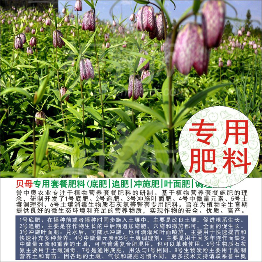 50�����а±�ĸר���л��ʸ��Ϸʵ׷�׷��Ҷ��ʳ�ʩ��ˮ�ܷ�