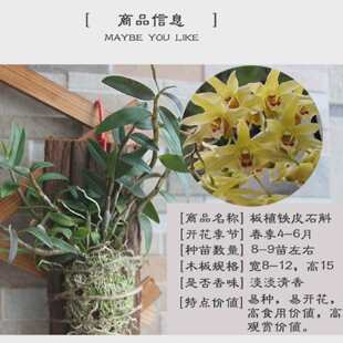 ��ֲʯ���mʯ�������Ժý��Oʯ����ֲ��ľ��Nʯ���FƤʯ����ֲ