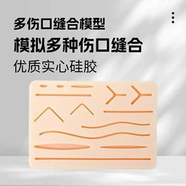 其他美妆工具;医药教学器材;教学演示用品