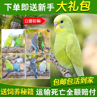 �W�^���B�B�������L녰��W�^��С�͕��fԒ�W�^���w��ﻢƤ�W�^