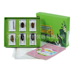 ���x�質���s��һ��  �׃��@�ƌW�l�F��̽���ҌWǰ��������