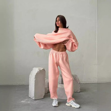 2024¿ɫůAIëbŮb߼ﶬƠֱͲLѝɼ