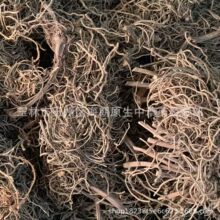 中药材500克四块瓦根 四叶对四匹瓦四片瓦现货无硫干货批发