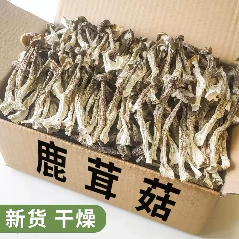 2025新货干鹿茸菇干货批发新鲜脆脆菇鹿茸菌香菇食用菌菇厂家批发