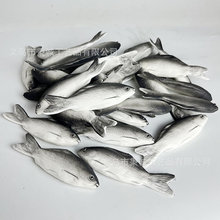 a~С~ģPUС~ģͺӵ׺̌WӰҕ[Ob