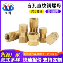 �ǘ�ä����ĸ�B�Ӽ��L����ĸ�~Ƕ��ע����ĸֱ�y��𹤾�����S��