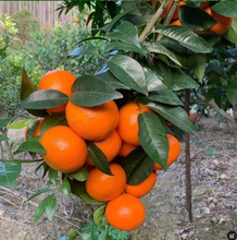 һ�����lɳ�ǽۘ��玧�����Ե����ϱ����NֲͥԺ�ļ��ش��������