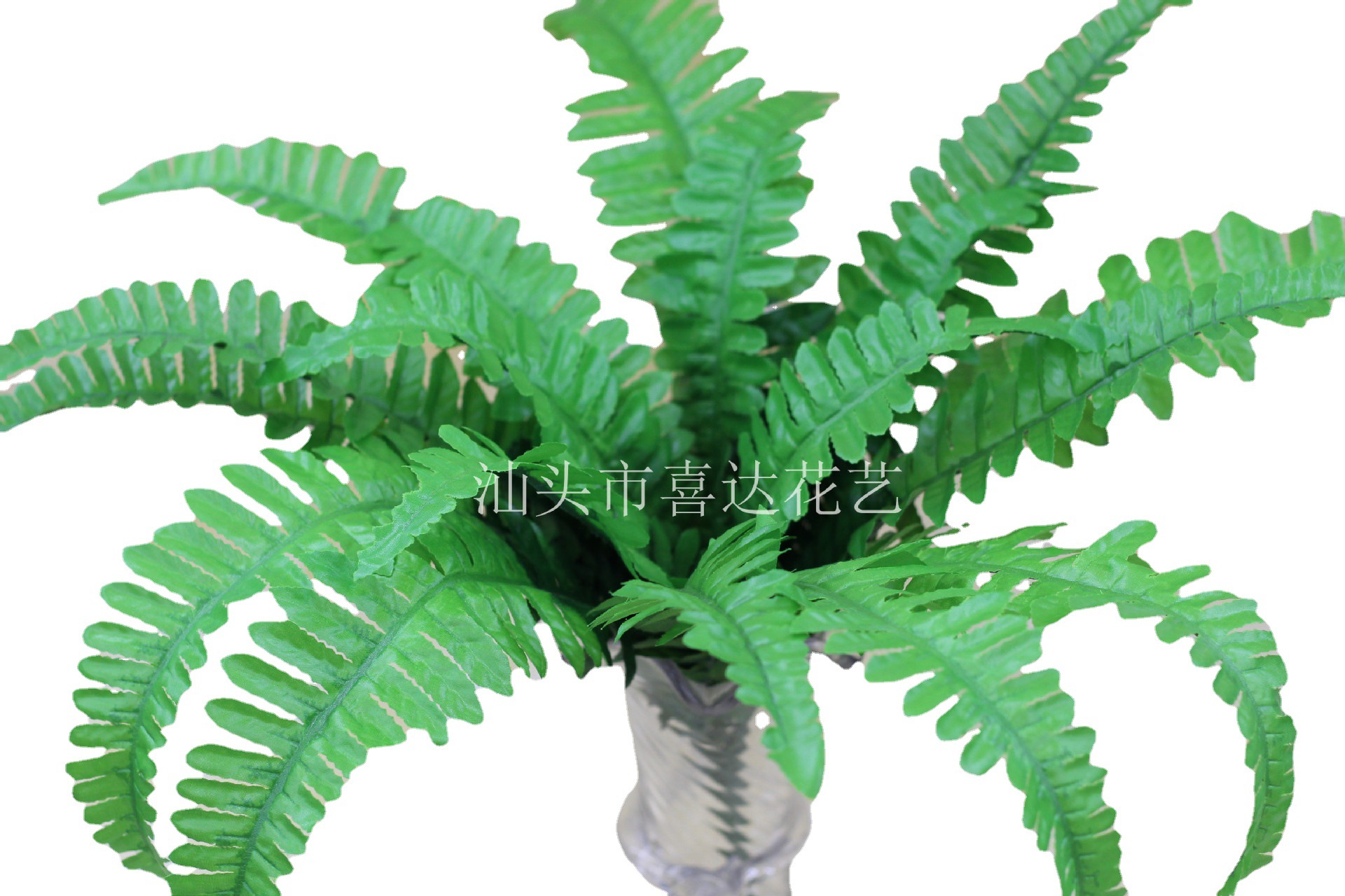 仿真蕨類植物波斯葉 波斯草婚慶綠植工程背景墻裝飾配材配草