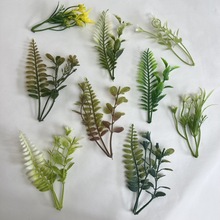 ����ɭϵֲ���Ʒ����Gֲ�����b�ˮ��diy������~ˮ���Ĕz����