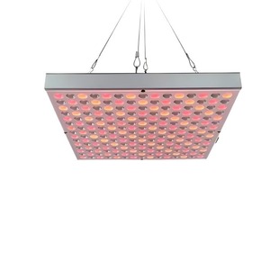 E-Commerce Customized Photon Rejuvenation Beauty Lamp with Floor-Standing Bracket Large Row Light Phototherapy Red Light Physiotherapy Panel Lamp